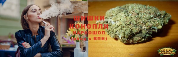 индика Алзамай