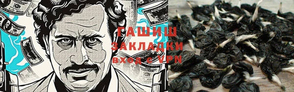 амф Абаза