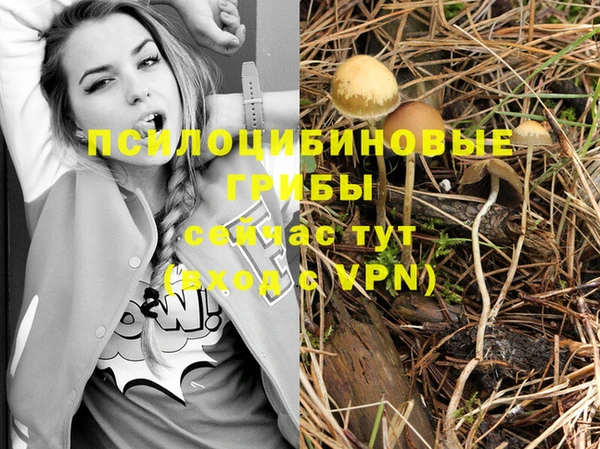 амф Абаза