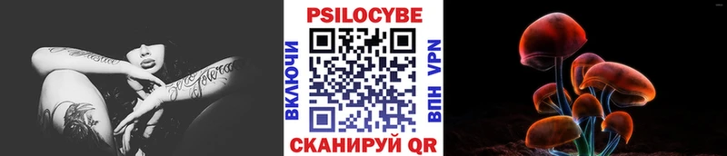 купить  сайты  Туринск  Псилоцибиновые грибы прущие грибы 